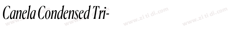 Canela Condensed Tri字体转换